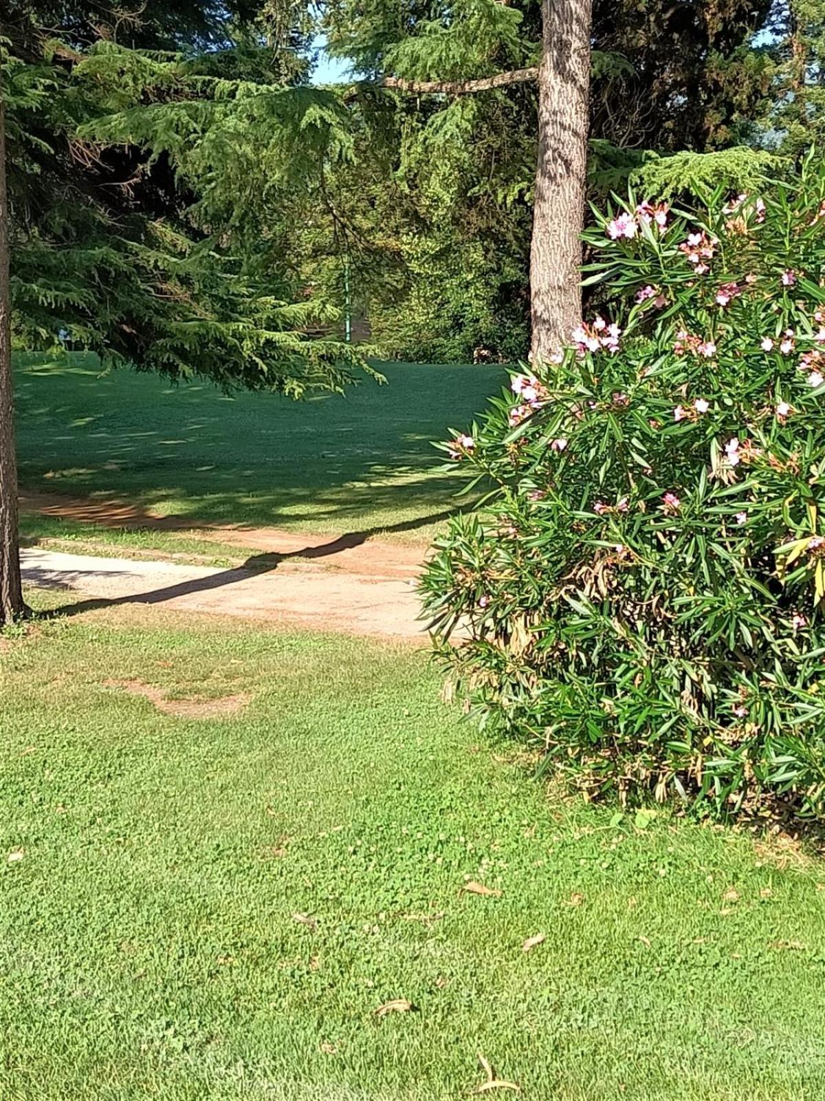 Fronte Del Golf Leilighet Rapallo Eksteriør bilde