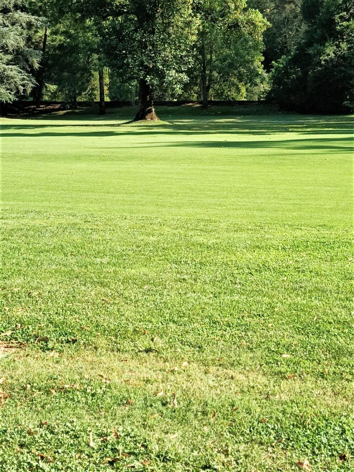 Fronte Del Golf Leilighet Rapallo Eksteriør bilde