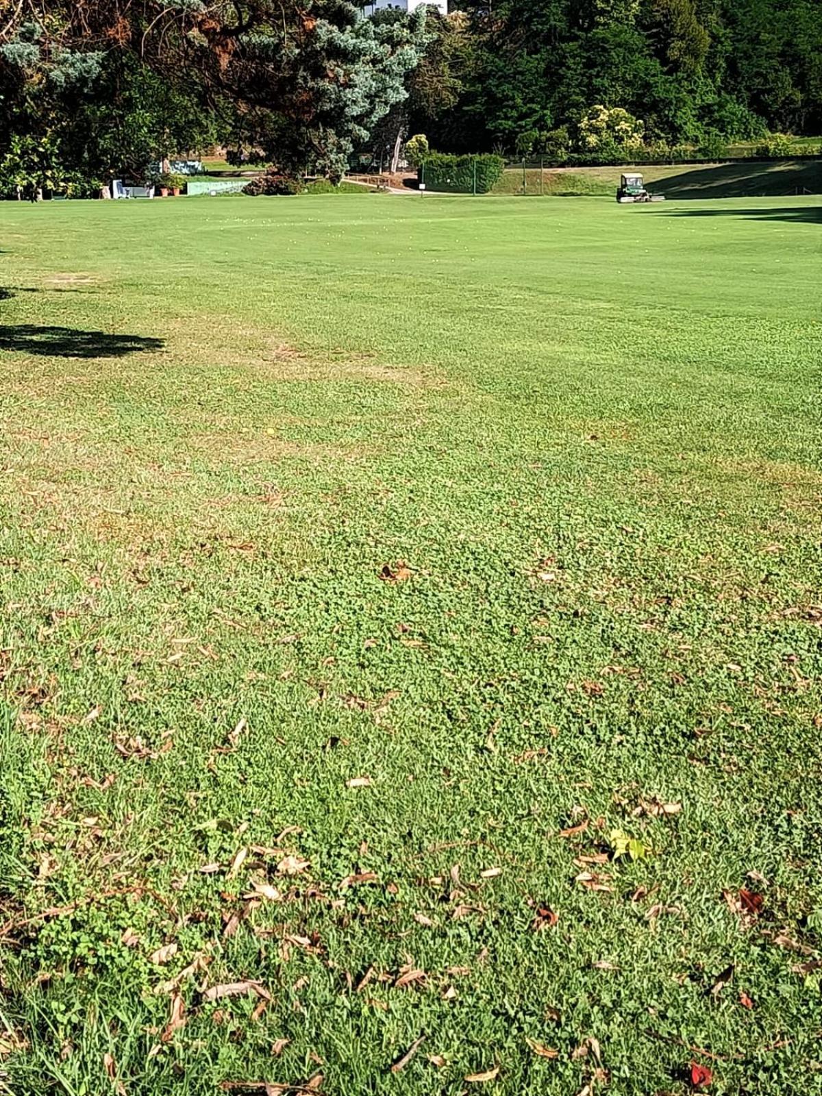Fronte Del Golf Leilighet Rapallo Eksteriør bilde